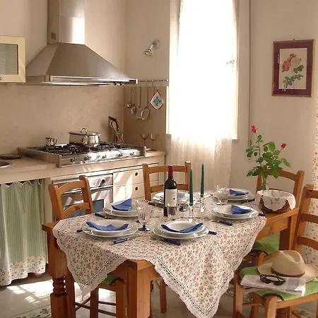 Apartment Terrace